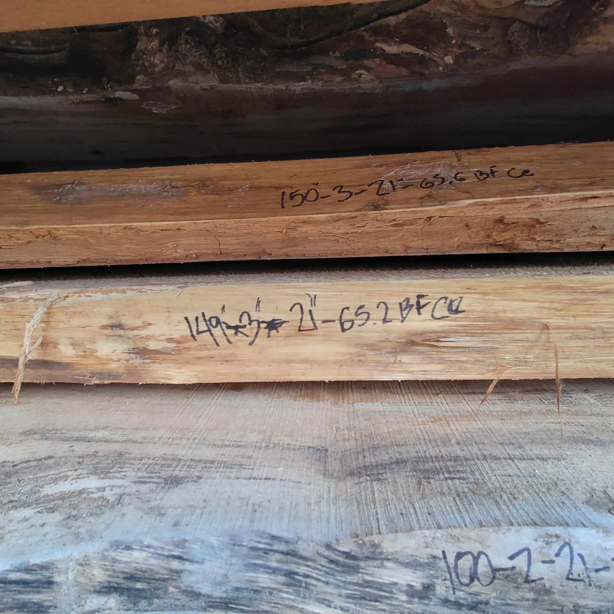 Western Red Cedar